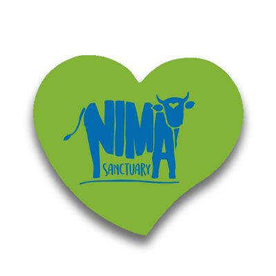 Magnet frigider Nima Sanctuary în formă de inima verde pal
